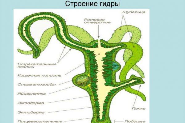 Кракен ссылка kr2link co